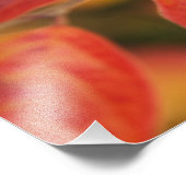 mit Herbstblättern bedeckt Fotodruck (Ecke)