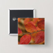 mit Herbstblättern bedeckte Twig Button (Vorne & Hinten)