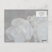 Mit herzlichem Beileid - Beileidskarte Postkarte (Rückseite)