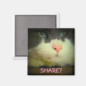 Mit Kitty teilen? Magnet (Vorderseite/Rückseite)