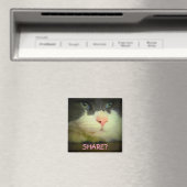 Mit Kitty teilen? Magnet (In Situ (Geschirrspüler))