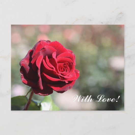 Mit Liebe Postkarte (Vorderseite)