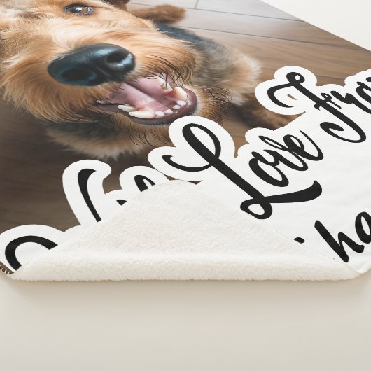 Mit Liebe von Airedale Terrier Name Sherpadecke (3/4)