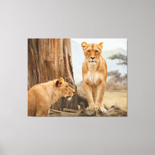 Mit lionenartiger Leinwand konfrontiert