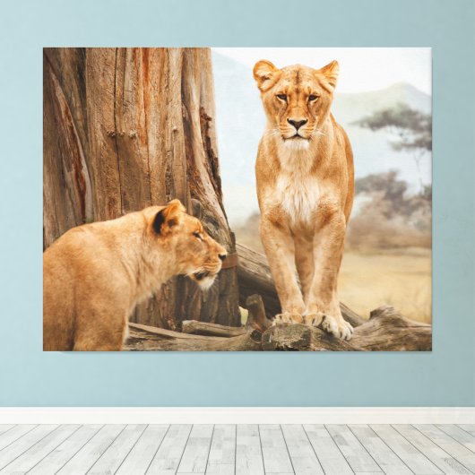 Mit lionenartiger Leinwand konfrontiert (Insitu (Holzboden))