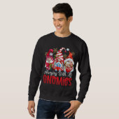 Mit meinen Gnomen verbunden, wird der Sternengarte Sweatshirt (Vorne ganz)