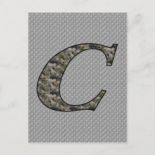 Mit Monogramm Initial C Hydrangea florale Postkart Postkarte (Vorderseite)