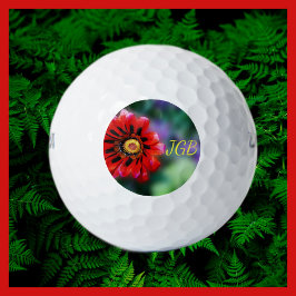 Mit Monogramm Vivid Red Blume Gazania Floral Golfball