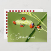 Mit niedlichen kleinen Ladybugs geht es bald gut Postkarte (Vorne/Hinten)
