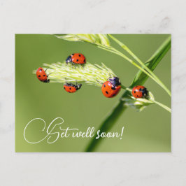 Mit niedlichen kleinen Ladybugs geht es bald gut Postkarte