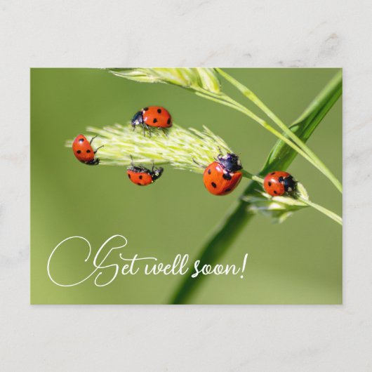 Mit niedlichen kleinen Ladybugs geht es bald gut Postkarte (Vorderseite)