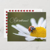 Mit niedlichen kleinen Ladybugs geht es bald gut Postkarte (Vorne/Hinten)