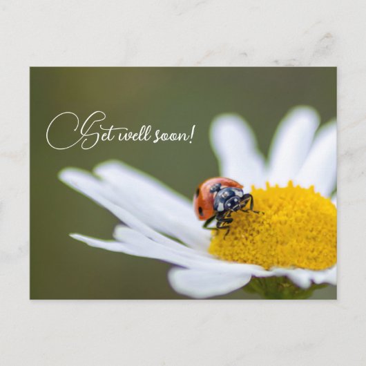 Mit niedlichen kleinen Ladybugs geht es bald gut Postkarte (Vorderseite)