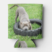 Mit Reis spielen, Dosenkühler (Vorderseite)