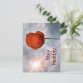 Mit roter Blume gesund bleibe Postkarte (Stehend Vorderseite)