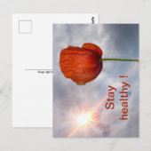 Mit roter Blume gesund bleibe Postkarte (Vorne/Hinten)