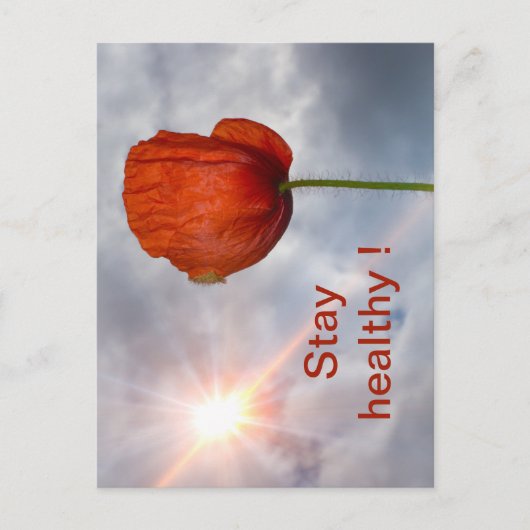 Mit roter Blume gesund bleibe Postkarte (Vorderseite)