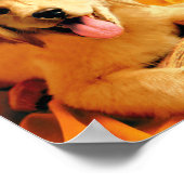 Mit Rotzerhut und Broom Poster (Ecke)