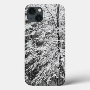 Mit Schnee umrissener Ahornbaum Case-Mate iPhone Hülle