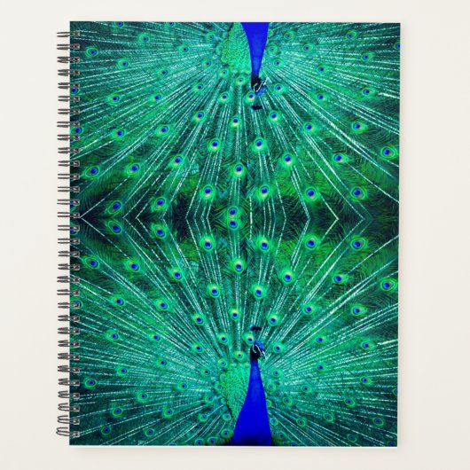 mit schönen grünen, blauen und türkisfarbenen Farb Planer (Vorderseite)