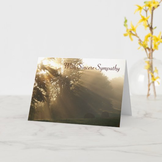 Mit Sincere Beileid Karte (Gelbe Blume)