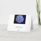 Mit tiefem Beileid Karte (Rückseite)