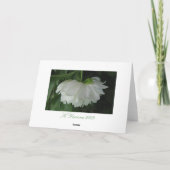 Mit tiefstem Beileid~card Karte (Rückseite)