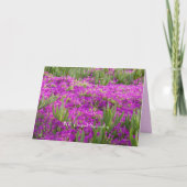 Mit tiefstem Beileid, Ice Pflanze Purple Blumen Karte (Vorderseite)
