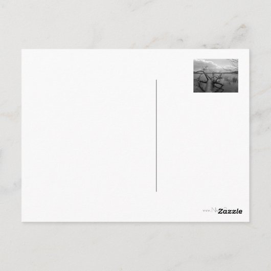 Mit tiefstem Beileid Postkarte (Rückseite)