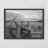 Mit tiefstem Beileid Postkarte (Vorderseite)