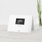 Mit tiefstem Beileid - Rosa Blume Karte (Rückseite)