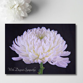 Mit tiefstem Beileid Weißer Chrysanthemum Karte