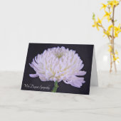 Mit tiefstem Beileid Weißer Chrysanthemum Karte (Gelbe Blume)