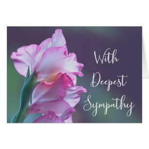 Mit tiefstem Mitgefühl Gladiolus
