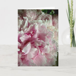 Mit tiefstem Mitgefühl mit weißen und rosa Pfingst Karte