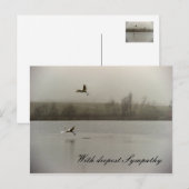 Mit tiefstem Mitgefühl Postkarte (Vorne/Hinten)