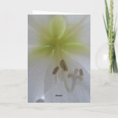 Mit tiefster Sympathie Karte (Rückseite)