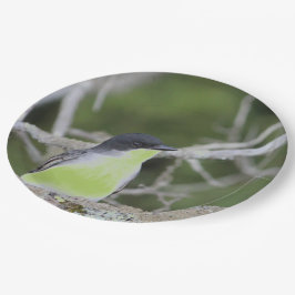 Mit wenig Vogel in Grüntönen Pappteller