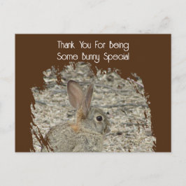 Mitarbeiterbewertung Funny Tan Bunny Pun Business Postkarte