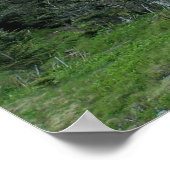 Mitchell I Poster (Ecke)