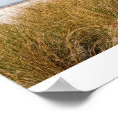 Mitchelville Beach 2008, Natalie Nelson Poster (Ecke)