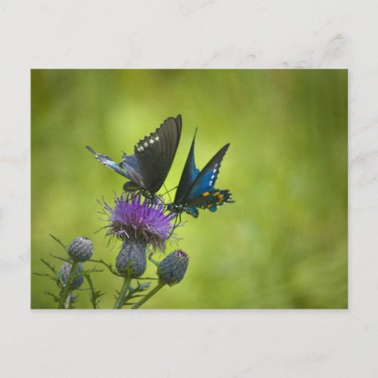 miteinander verbunden postkarte (Vorderseite)