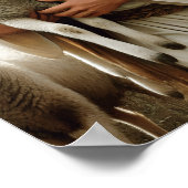 Mitgefühl Hirte mit sanfter Flock Poster (Ecke)