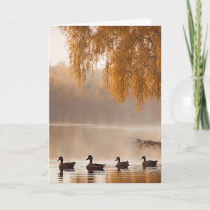 Mitgefühl Nebeliger Herbstsee mit Enten Karte