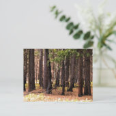 Mitgefühl Postkarte (Stehend Vorderseite)