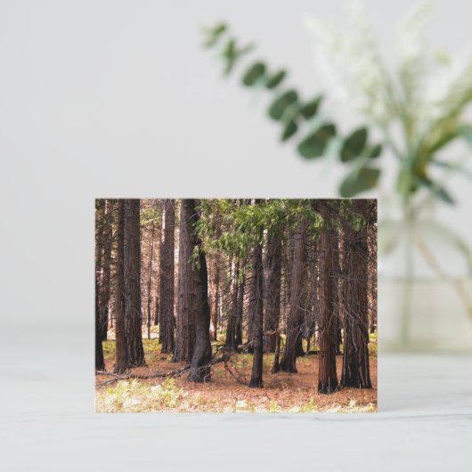 Mitgefühl Postkarte (Stehend Vorderseite)