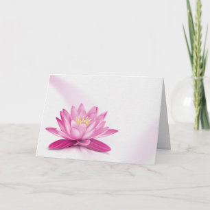 Mitgefühl Rosa Seerose auf Weiß Karte
