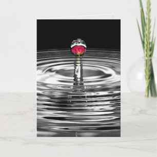 Mitgefühl Rote Rose in spritzendem Wassertropfen Karte