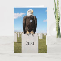 Mitgefühl Weißkopfseeadler mit militärischen Hunde