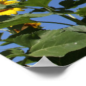 Mitglied der Familie Poster (Ecke)